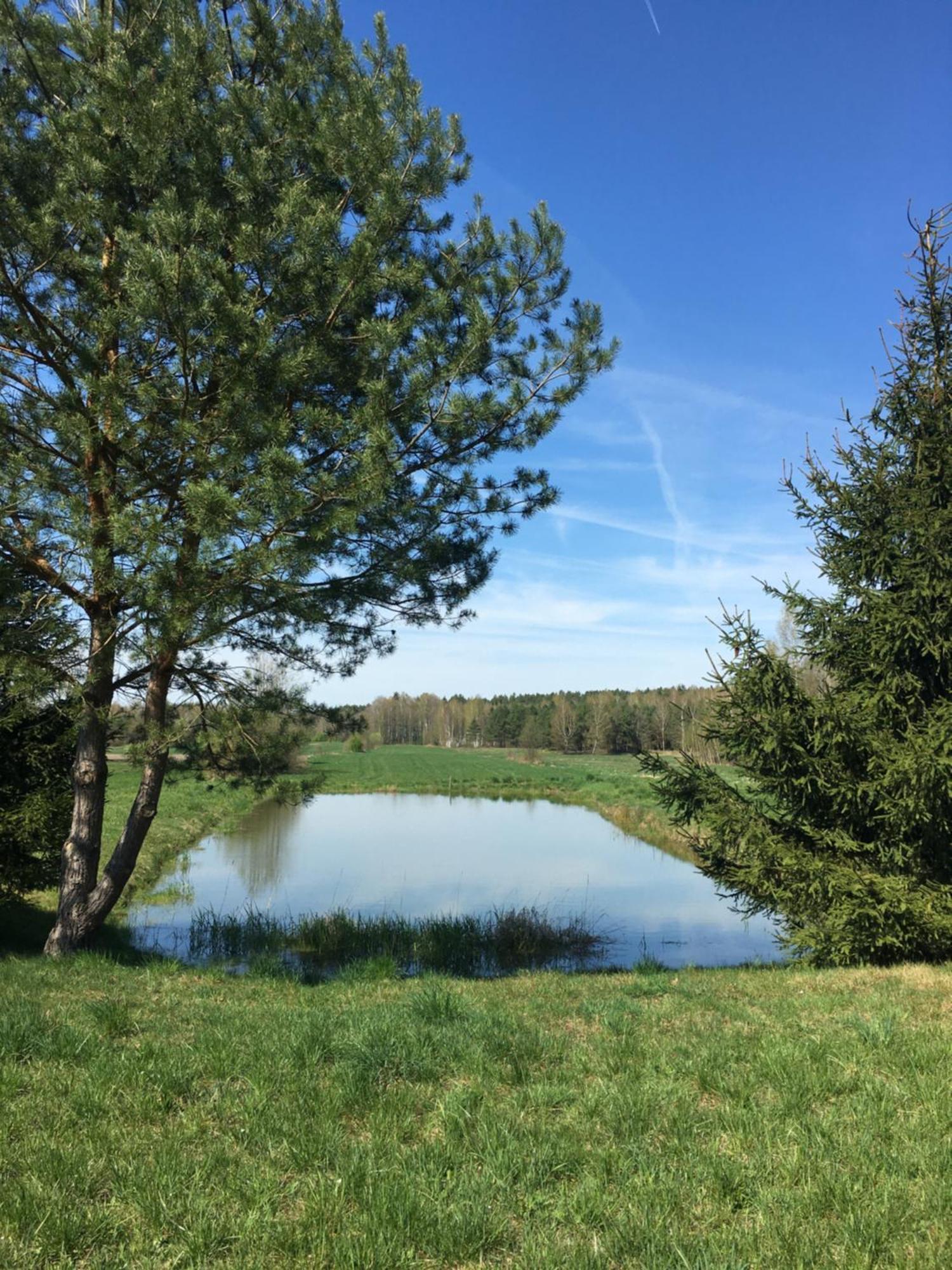 Lesne Zacisze Villa Augustów Eksteriør billede